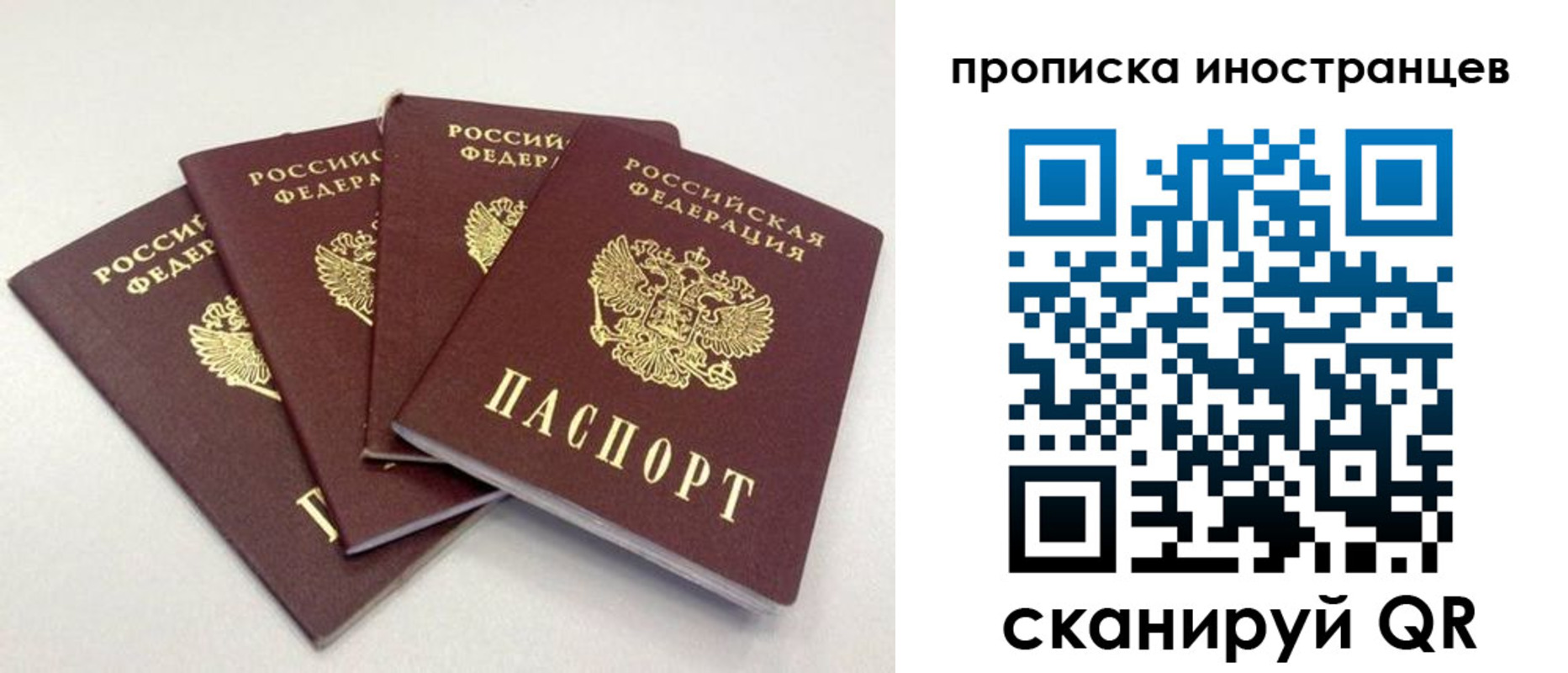прописка в квартире в Благовещенске